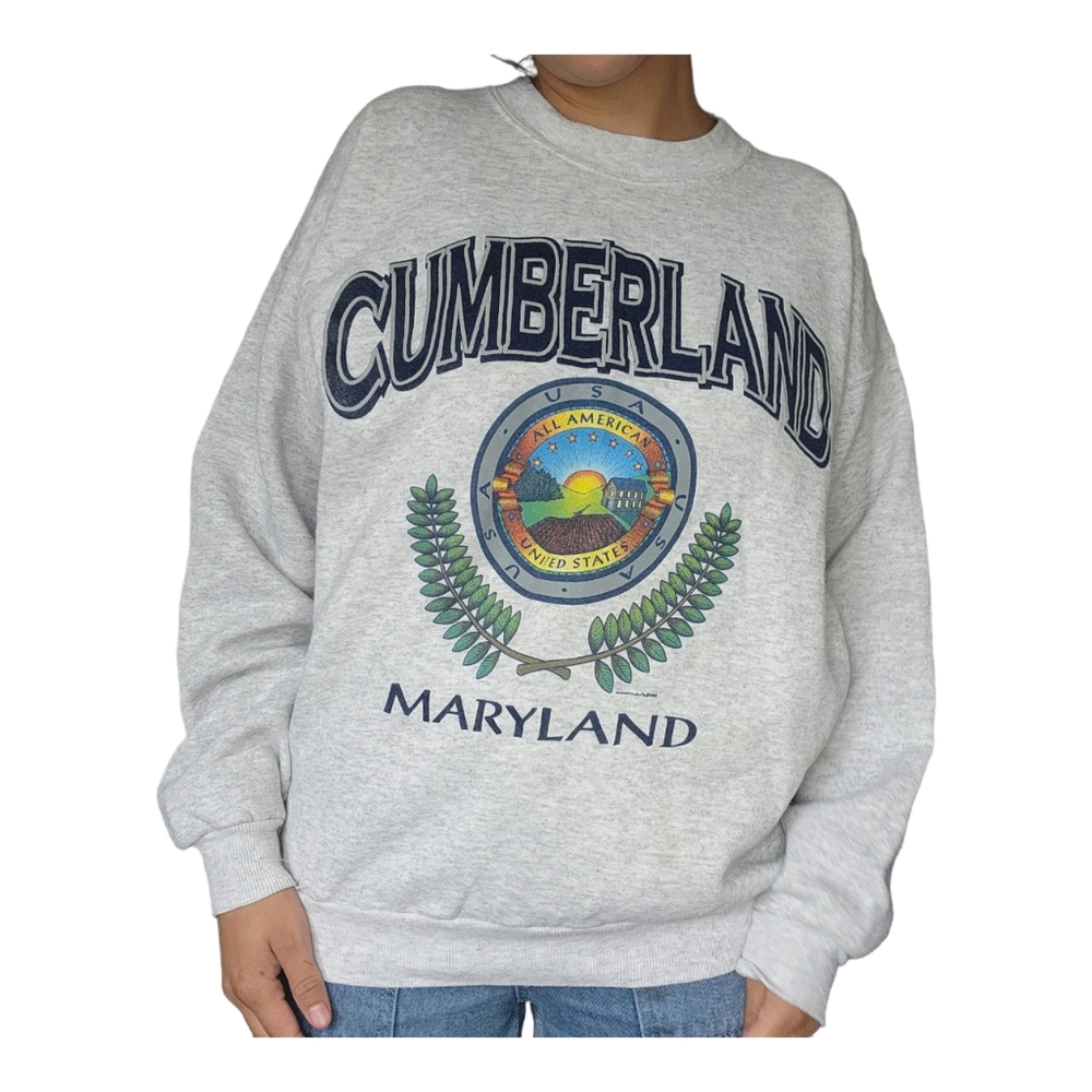 Vintage Hanes Activewear Cumberland Sweater